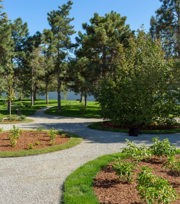 landscaping-and-outdoor-services