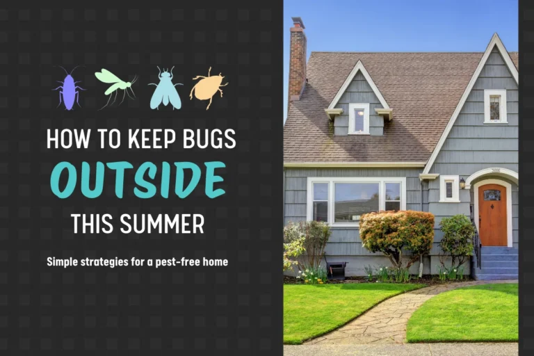 How to keep bugs out of house in summer